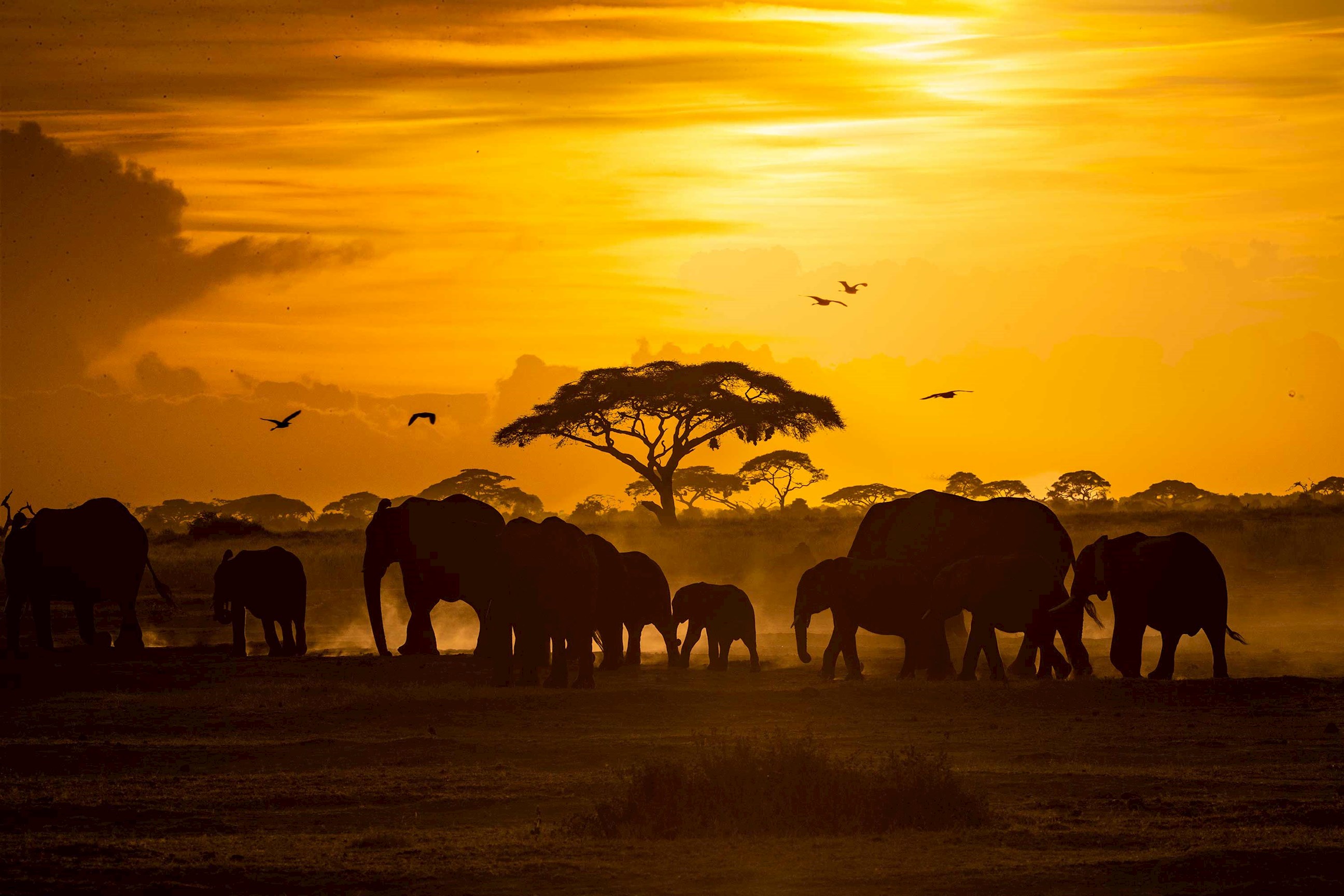 watch-sun-set-drink-amboseli-landscape-kenya.jpg
