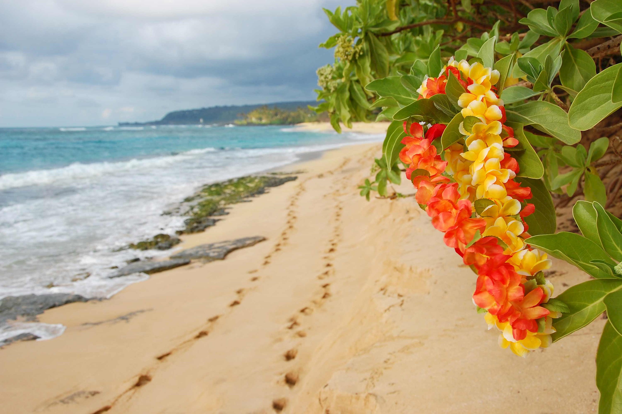 oahu-beach-honolulu-hawaii.jpg