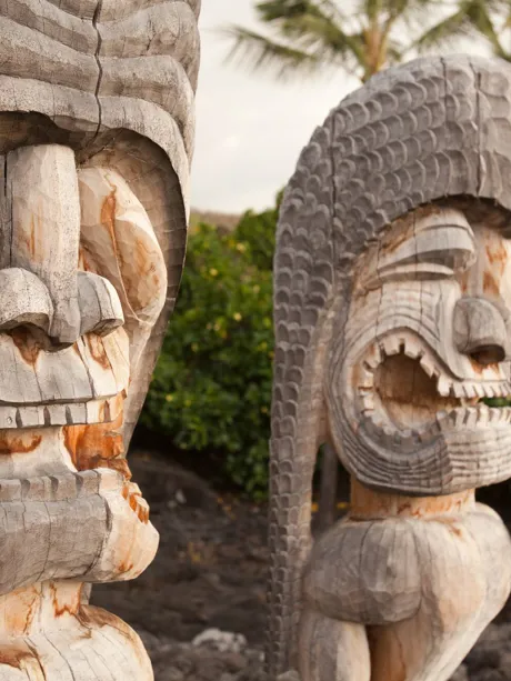 Hawaii Tiki Carvings