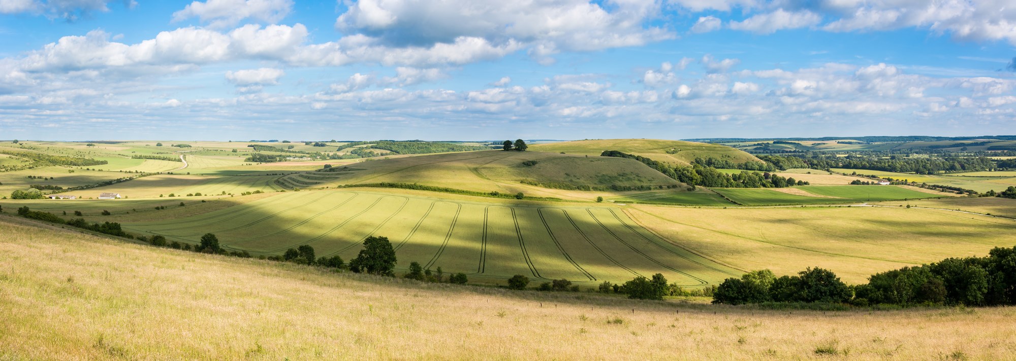 65_battlesbury-hill-salisbury-england.jpg