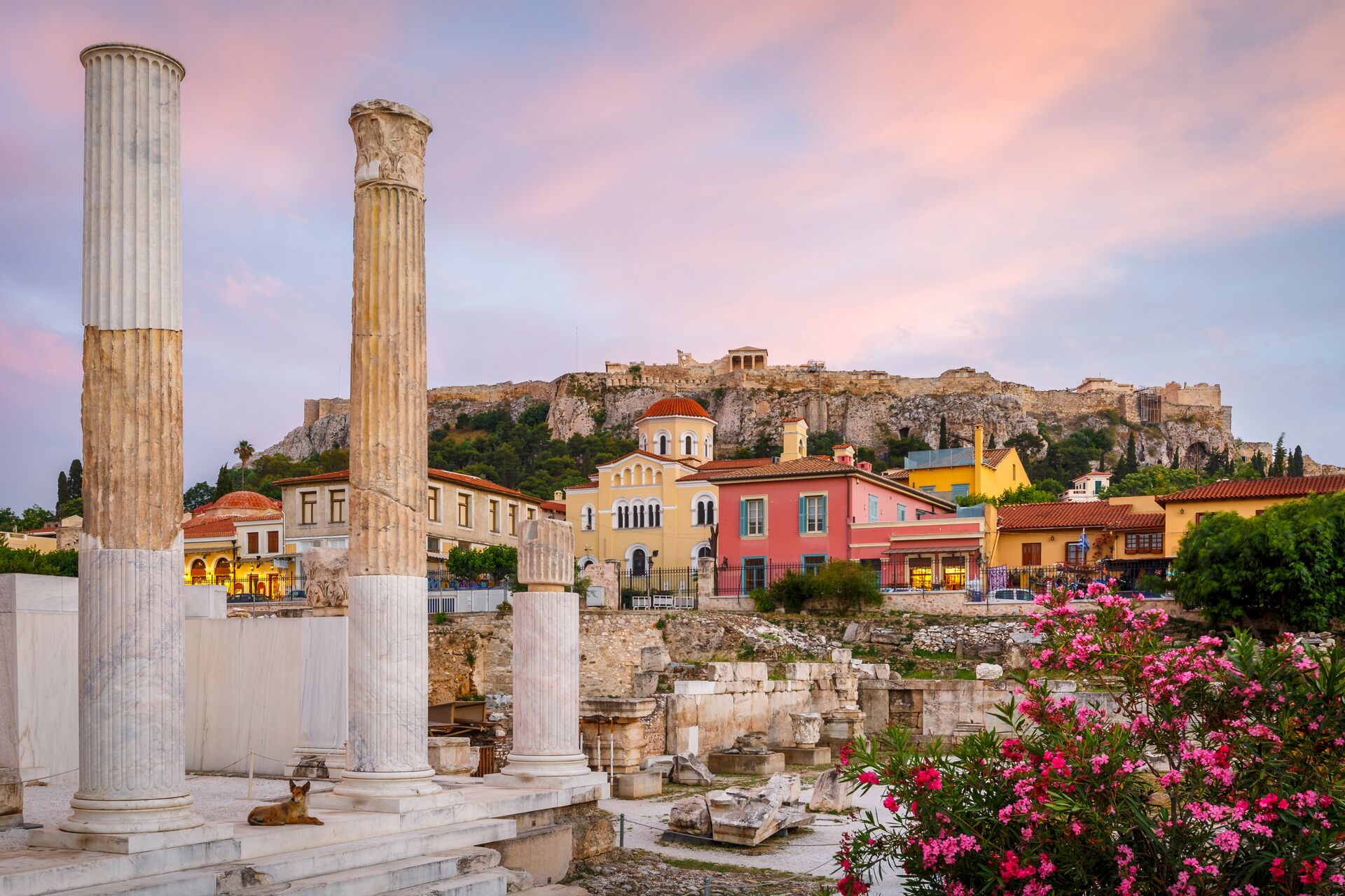 Pillars of Acropolis in foreground with colourful houses behind