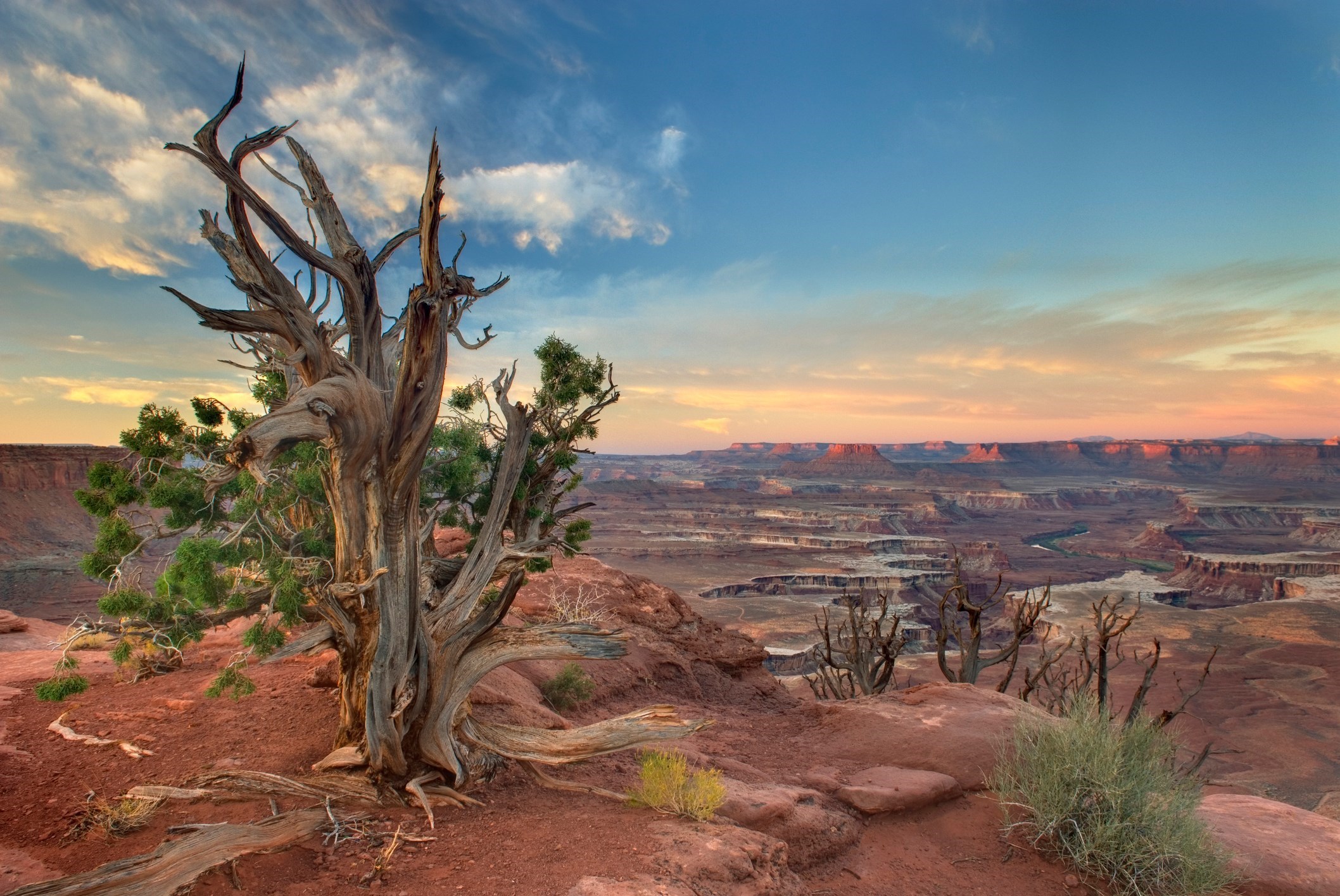 island-in-the-sky-in-canyonlands-national-park-utah.jpg