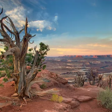island-in-the-sky-in-canyonlands-national-park-utah.jpg