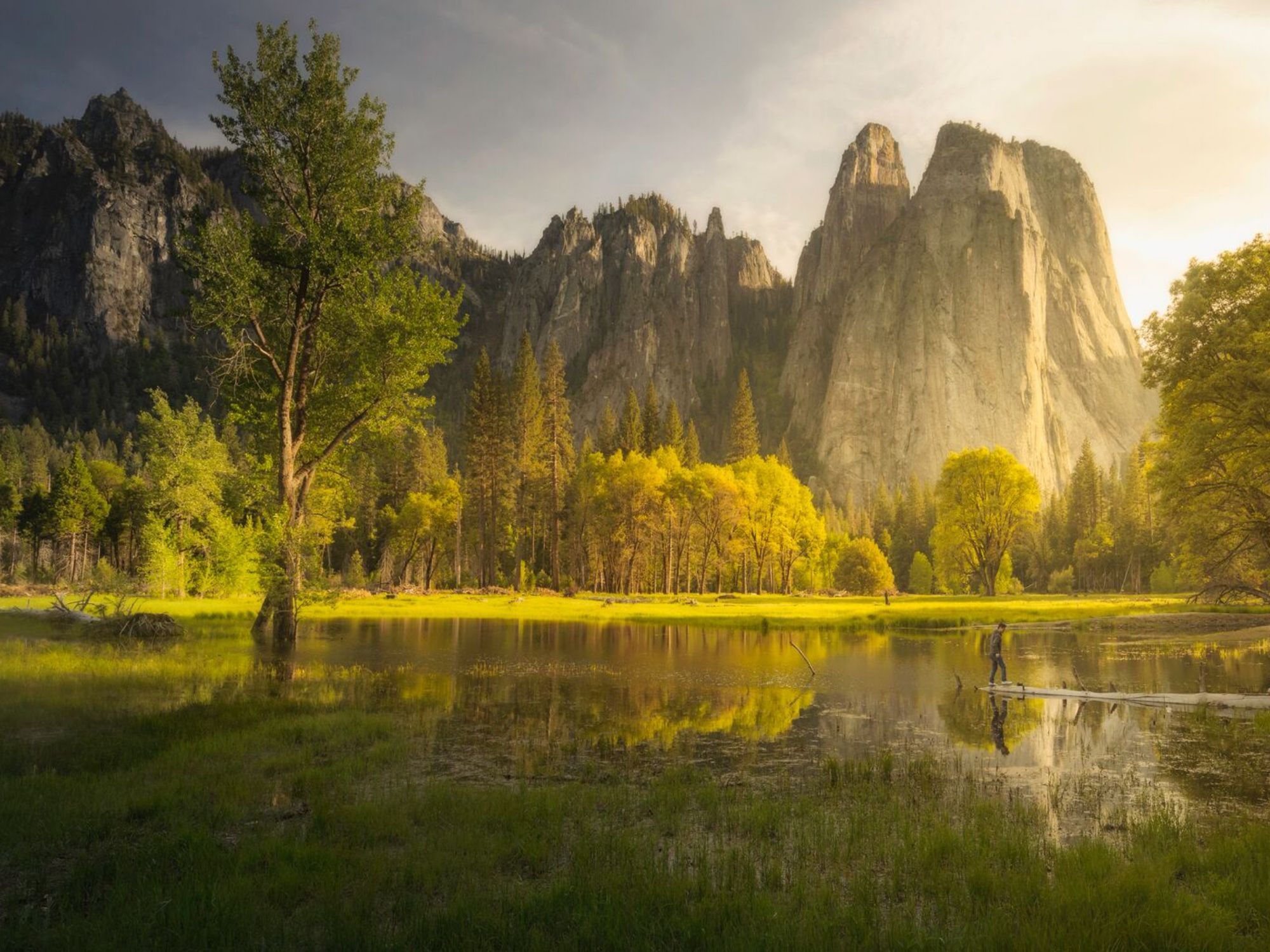 Lake, mountains and trees of Yosemite National Park at sunrise