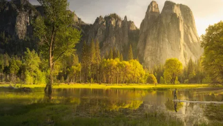 Lake, mountains and trees of Yosemite National Park at sunrise