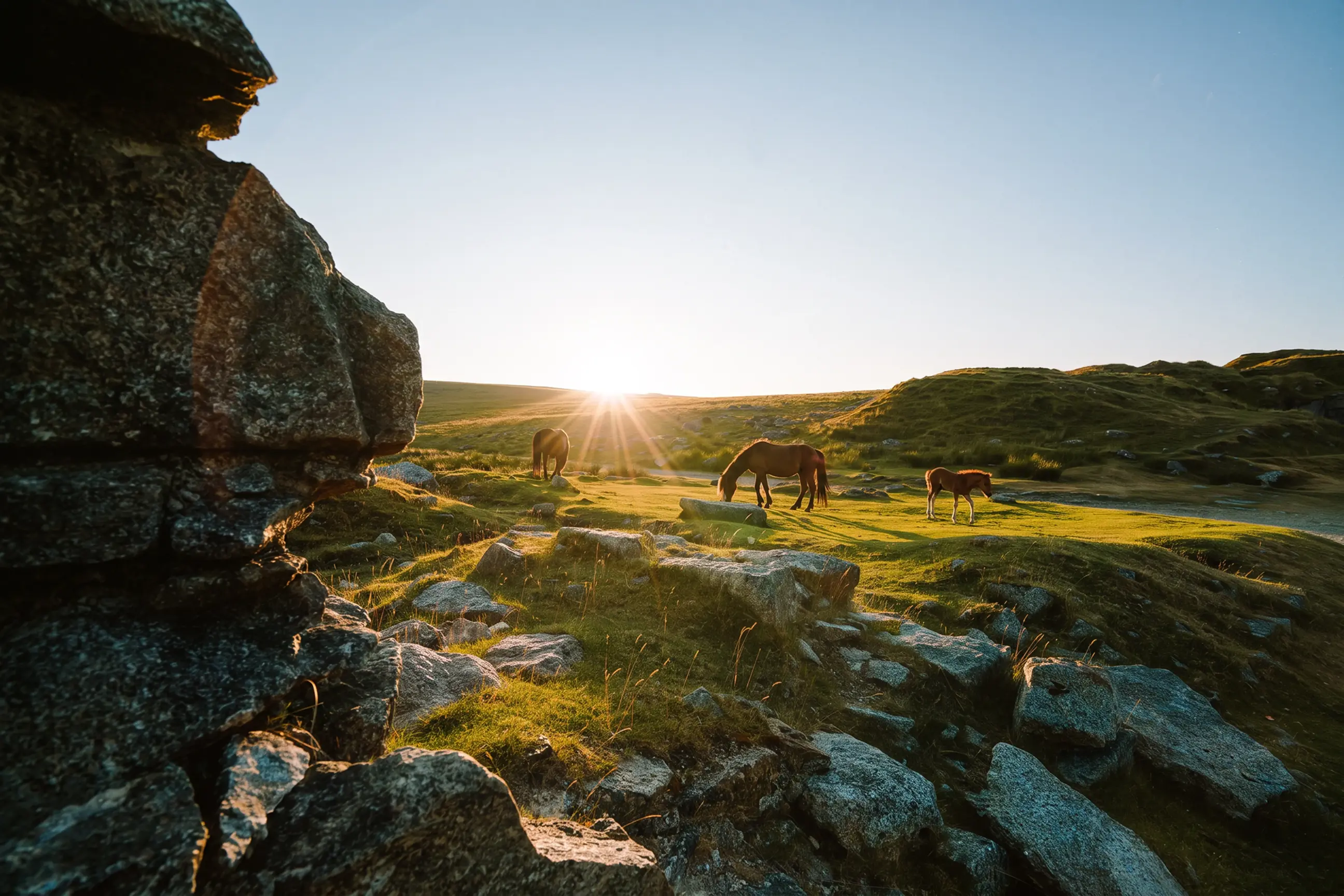 day-hero-idyllic-landscape-in-dartmoor-england.webp