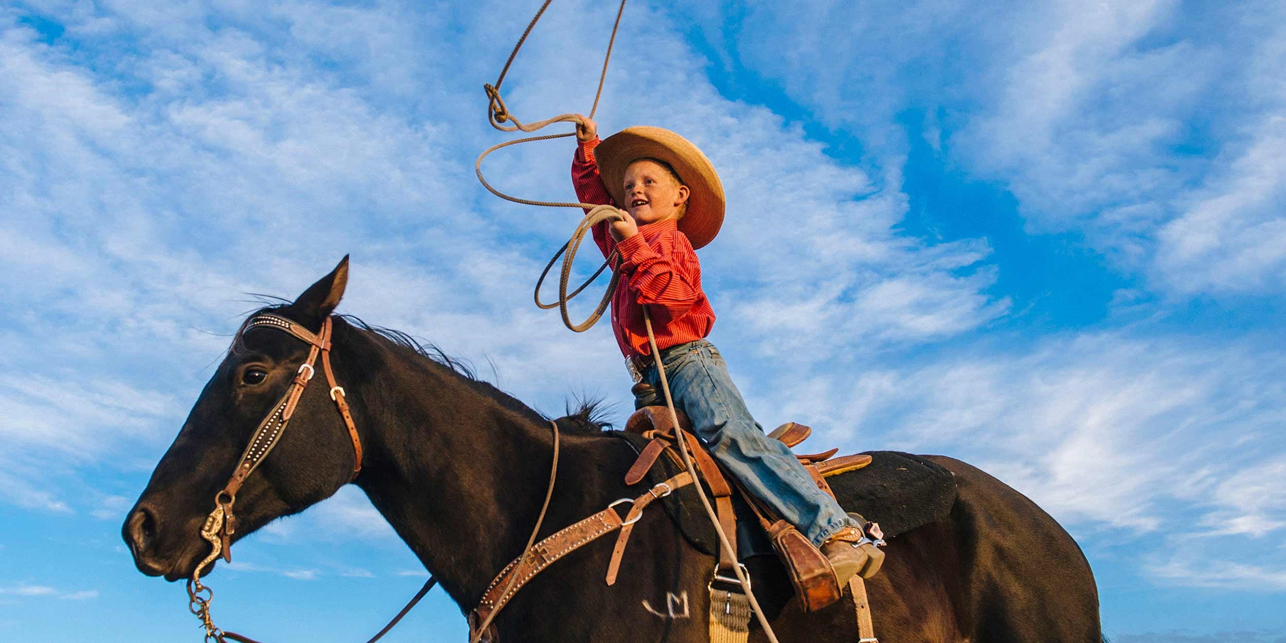 Wild West, Cowboys and Buffalos Tour