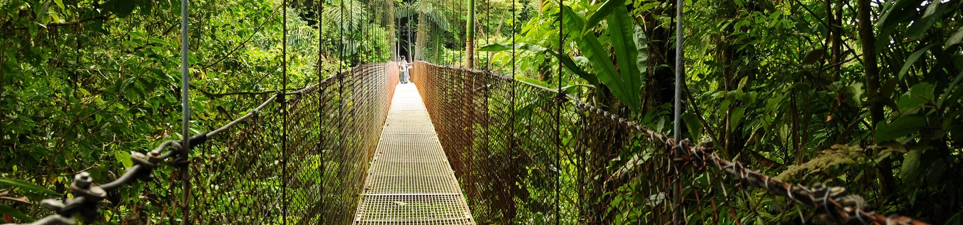 Website Banner Hanging Bridges In Costa Rica's Arenal National Park 146967694