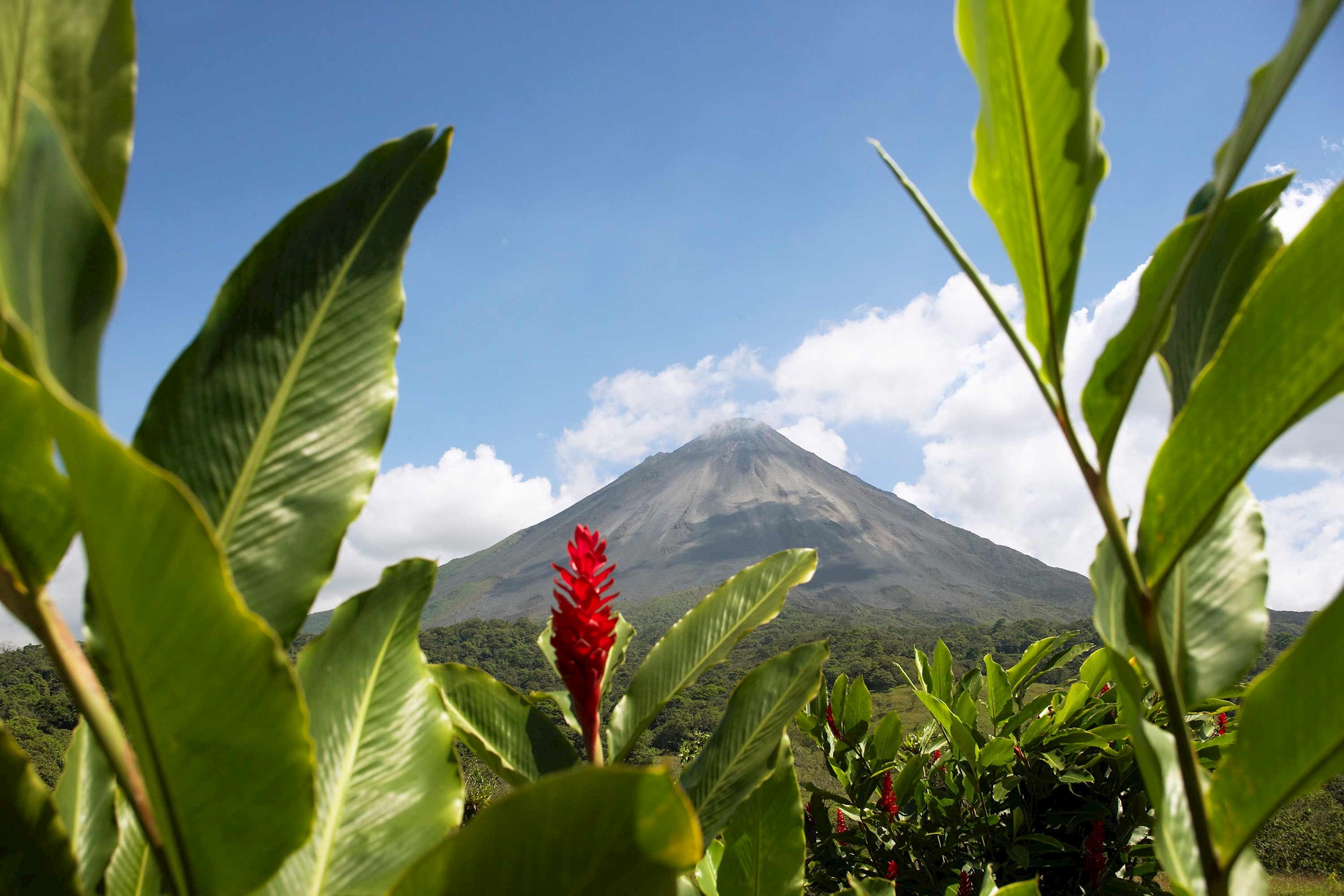red-ginger-volcano-arenal-costa-rica.jpg