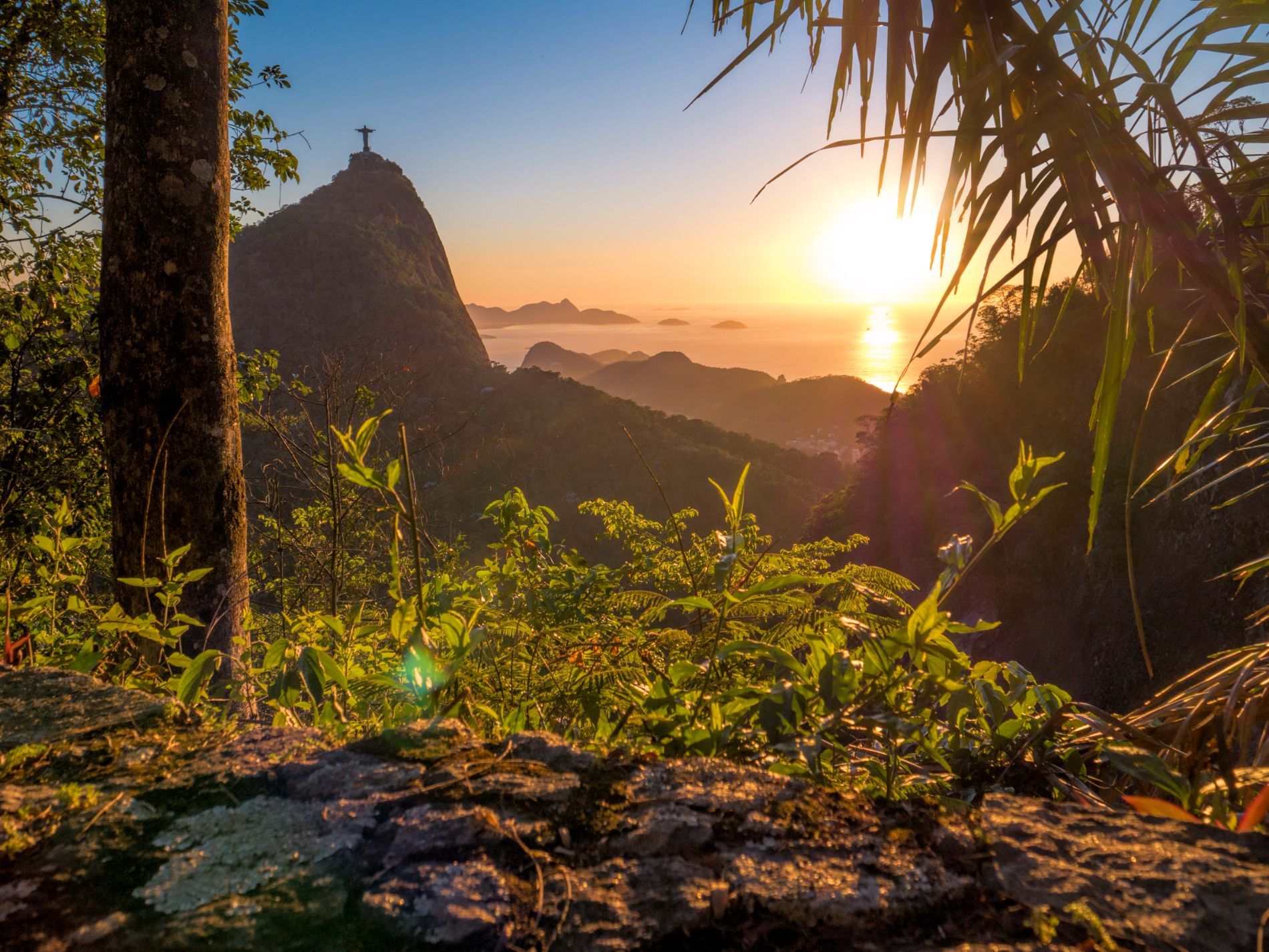 Sunset at Tijuca National Park in Rio De Janeiro