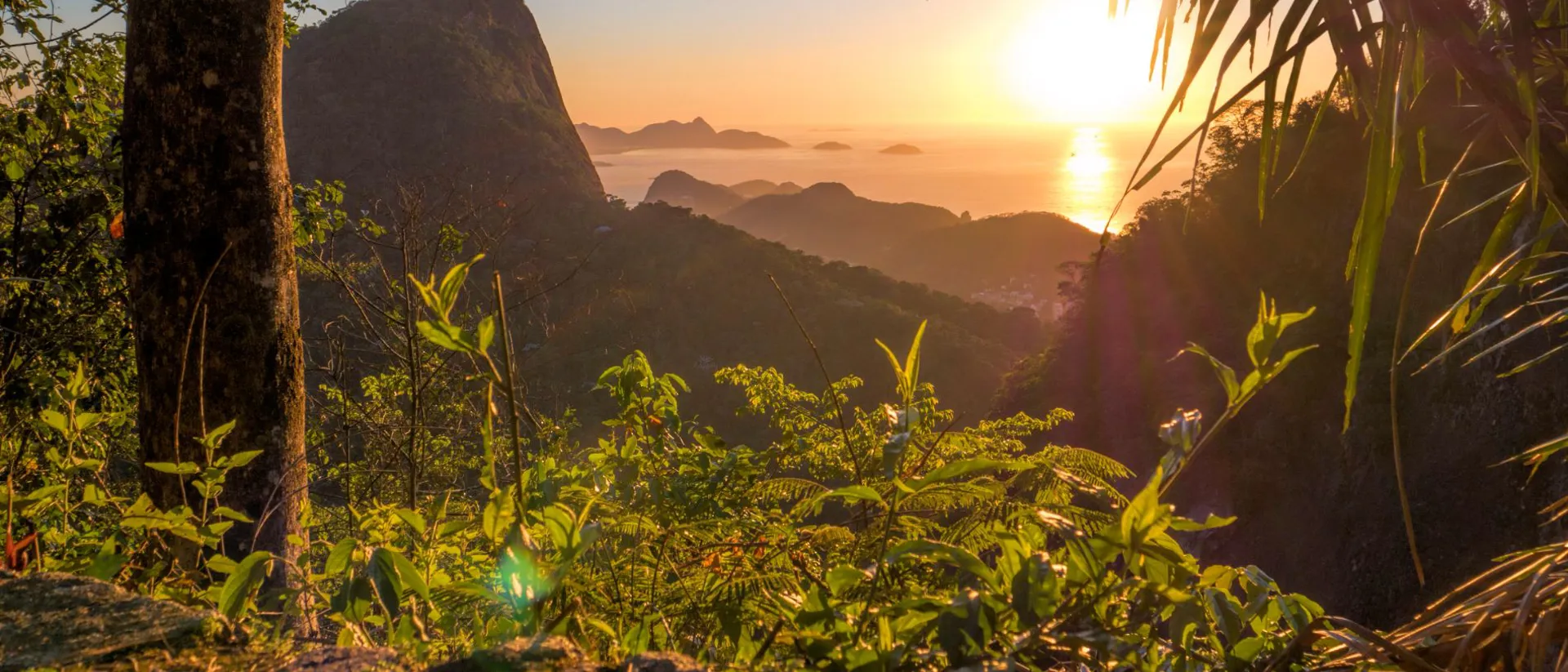 Sunset at Tijuca National Park in Rio De Janeiro