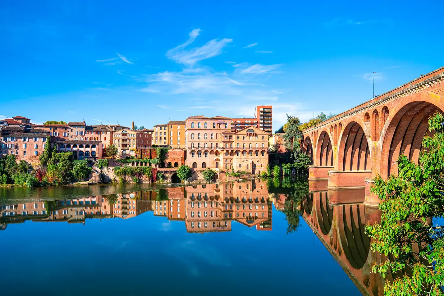 cathedral-of-saint-cecilia-of-albi-france.webp