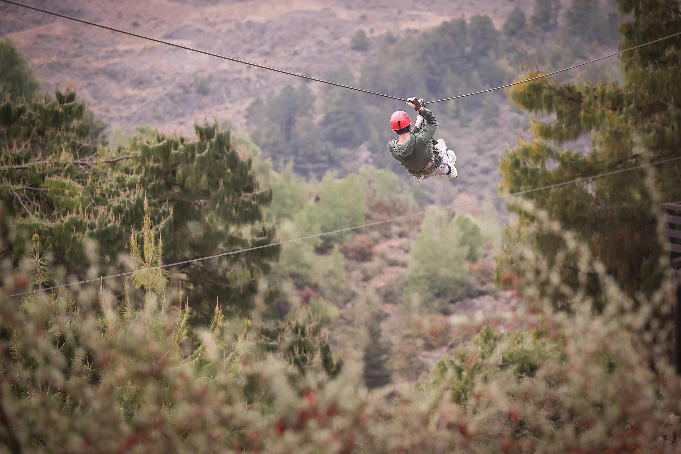 experience-life-above-trees-along-6-suspension-bridges-8-thrilling-zip-lines-denali-national-park-usa.jpg