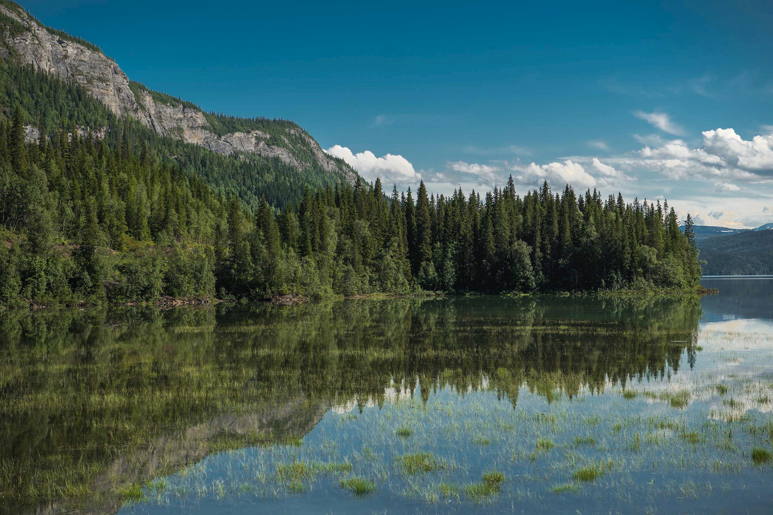 saltfjellet-svartisen-national-park-nordland-county-norway.jpg
