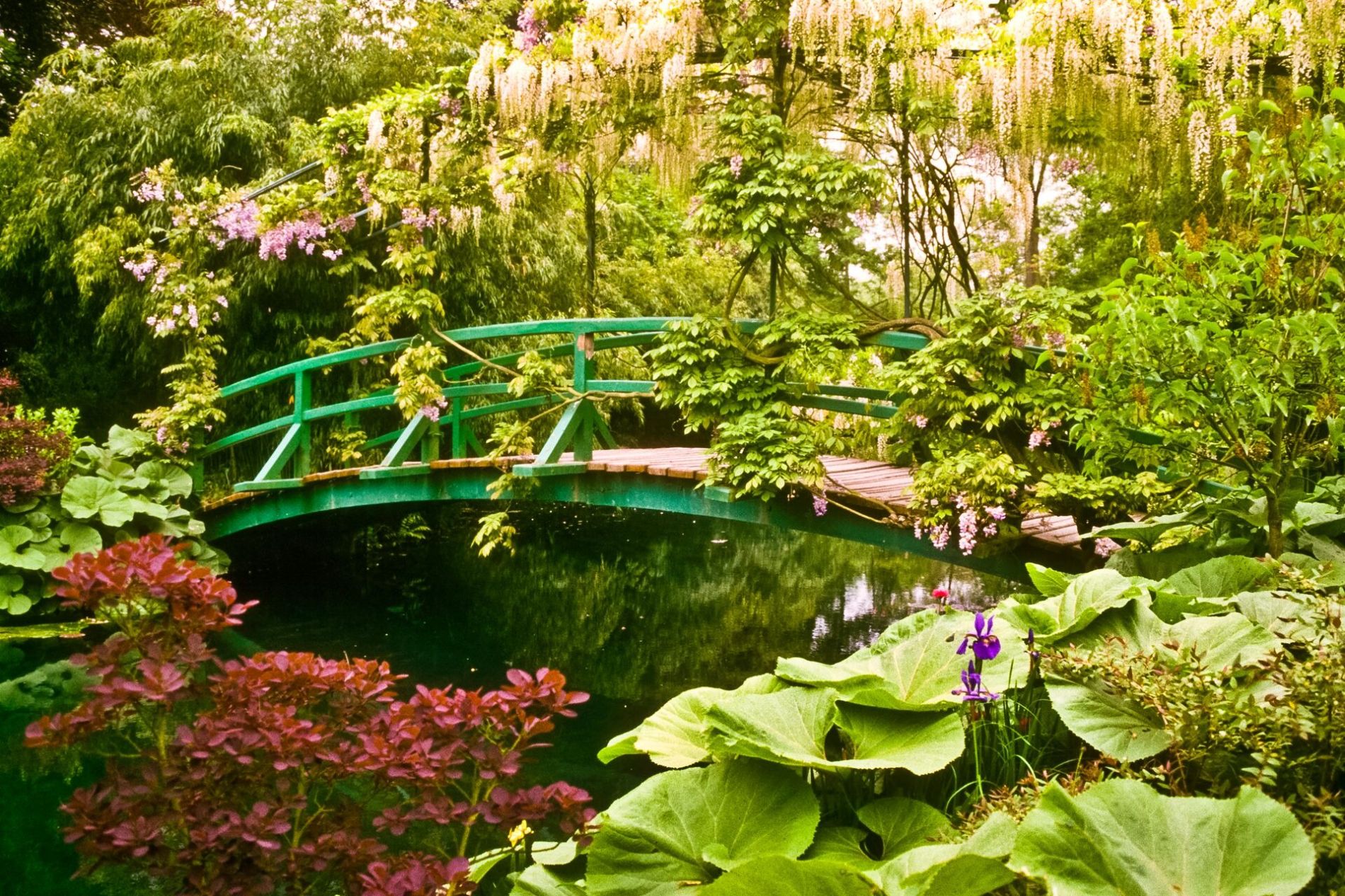 Large Monet S Bridge