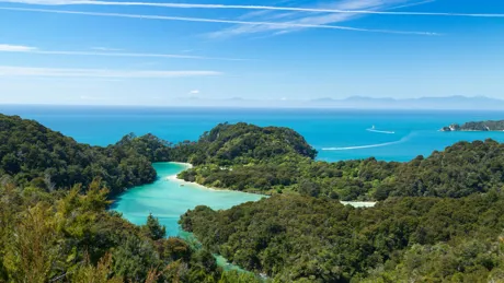Abel Tasman National Park, Nelson Tasman, South Island