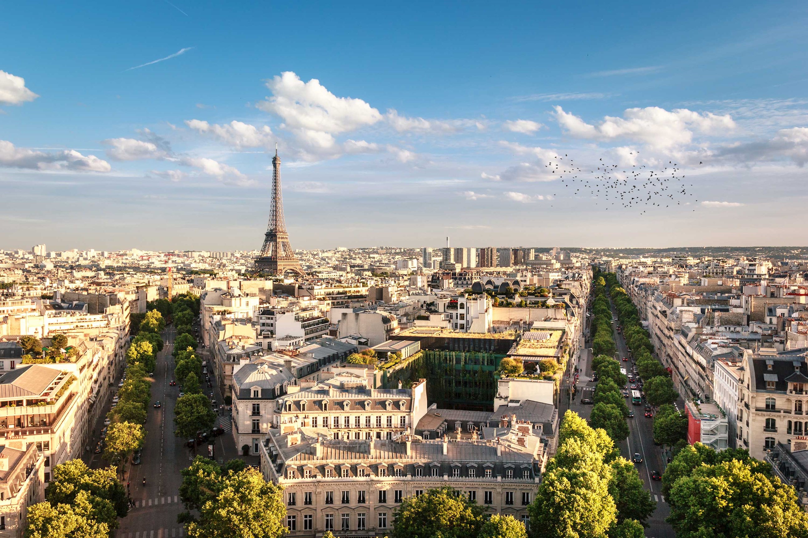 eiffel-tower-paris-france.jpg