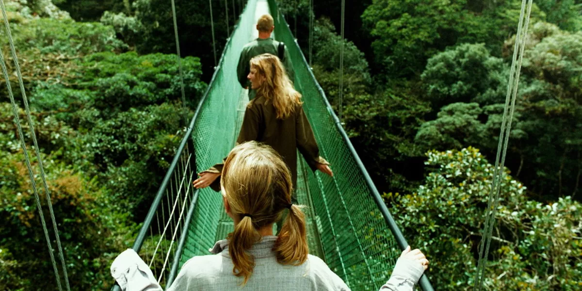 Travellers walking on a hanging bridge in forest