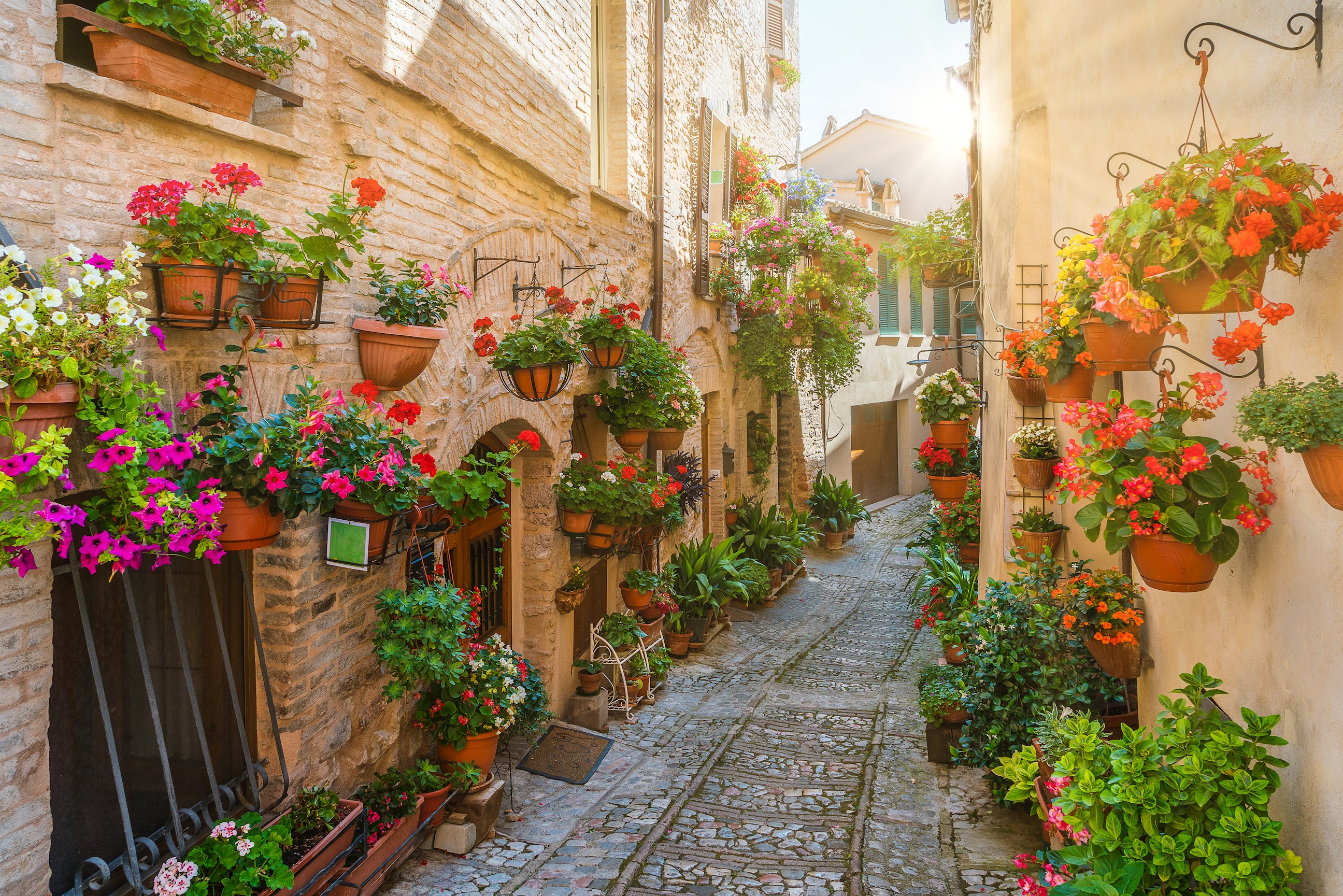spello-perugia-italy.jpg