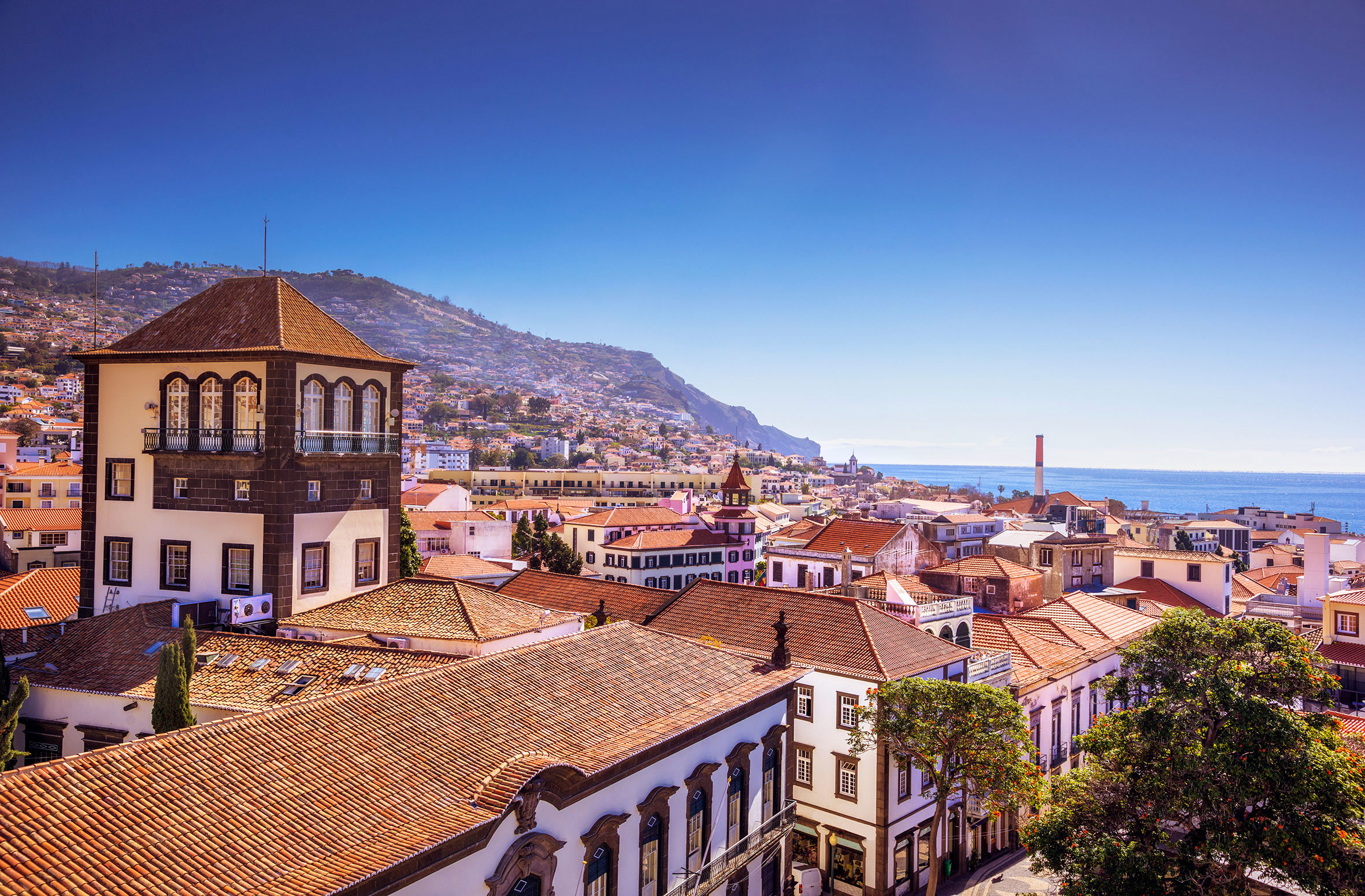 View over Funchal Downtown, Funchal, Madeira