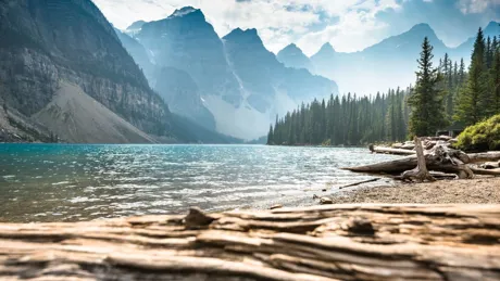 View on Moraine Lake next to a forest, Canada