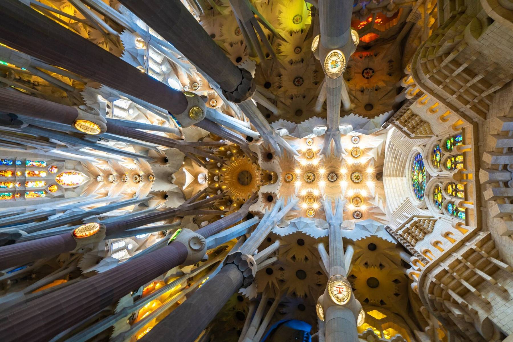 Illuminated interior of The Sagrada Familia church designed By Antoni Gaudi