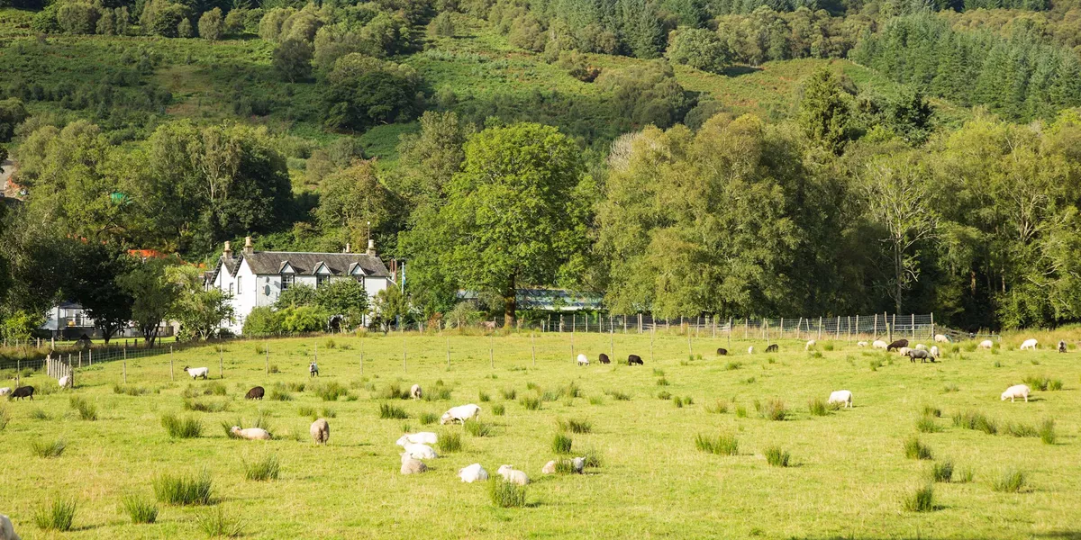 Best of Ireland and Scotland Guided Tour