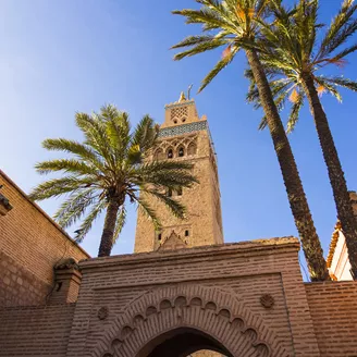 Palm trees among ancient buildings in Morocco