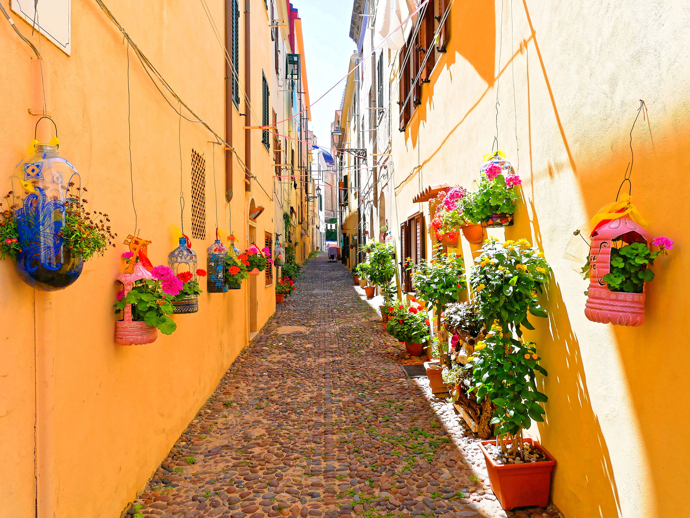alley-beautiful-flowers-alghero-sardinia-italy.jpg