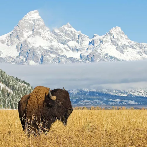 National Parks Wonders Guided Tour