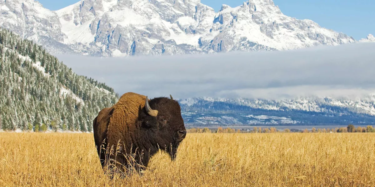 National Parks Wonders Guided Tour