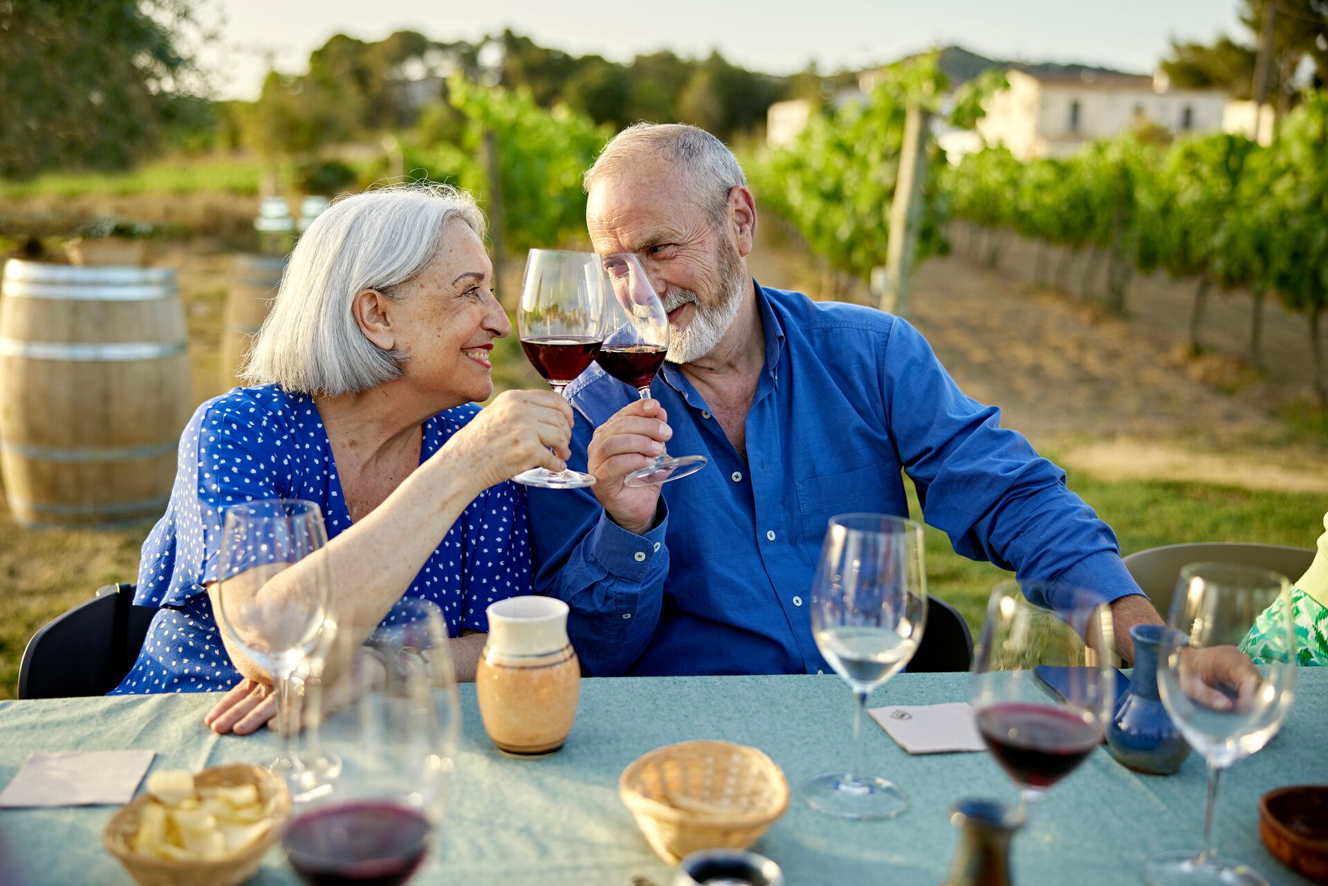 Older couple toasting each other while on a wine tasting
