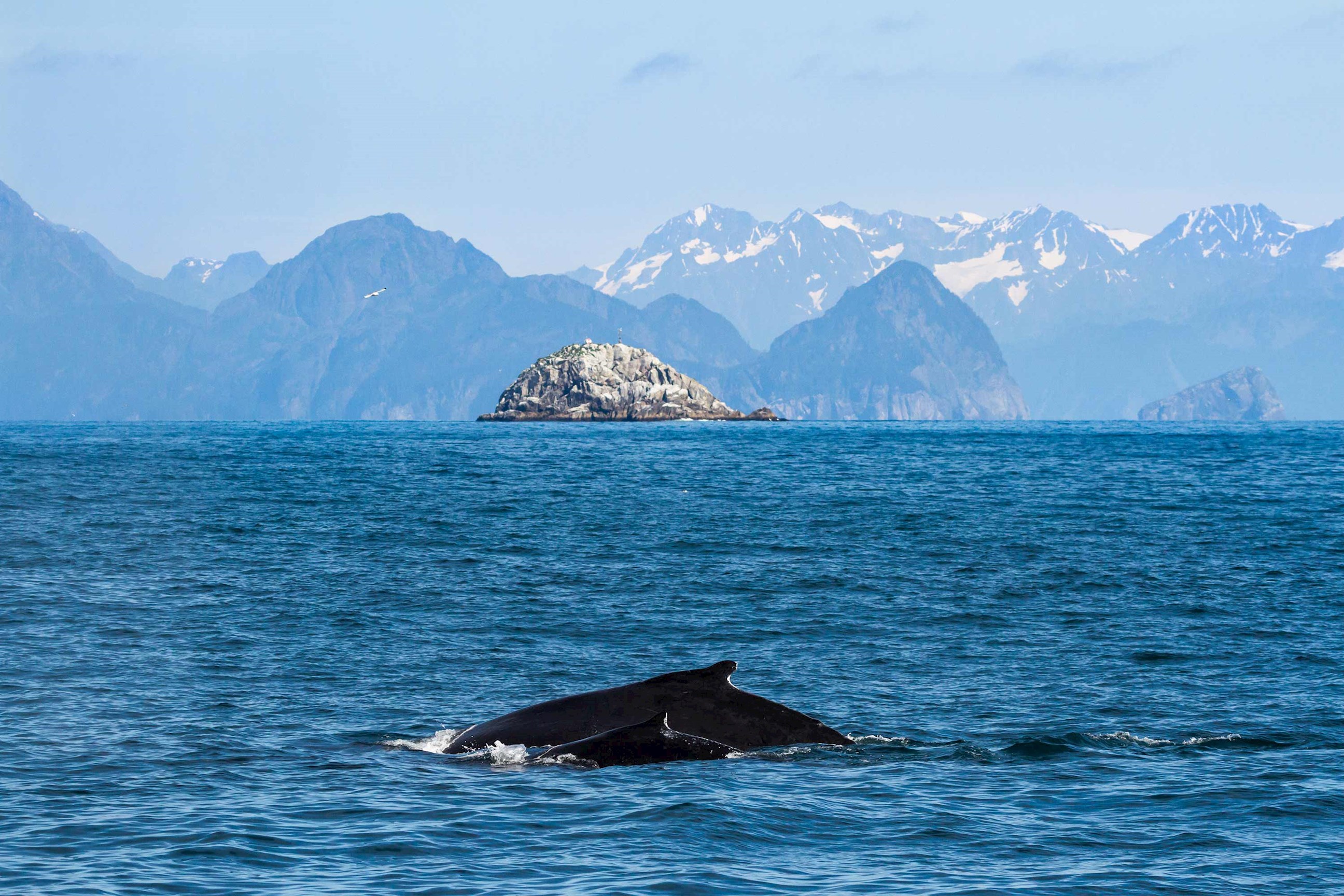 alaska cruise from anchorage
