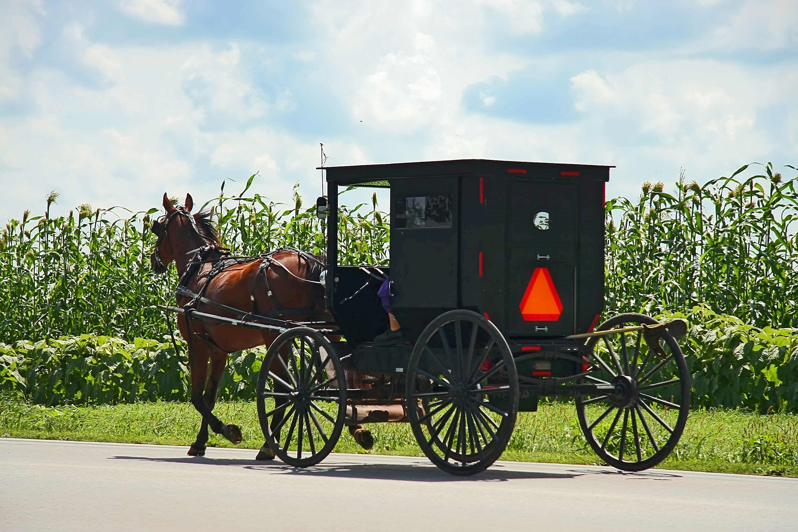 learn-about-amish-traditions-plain-fancy-farm-lancaster-usa.jpg