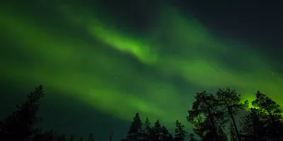 Scandinavian Northern Lights guided Tour