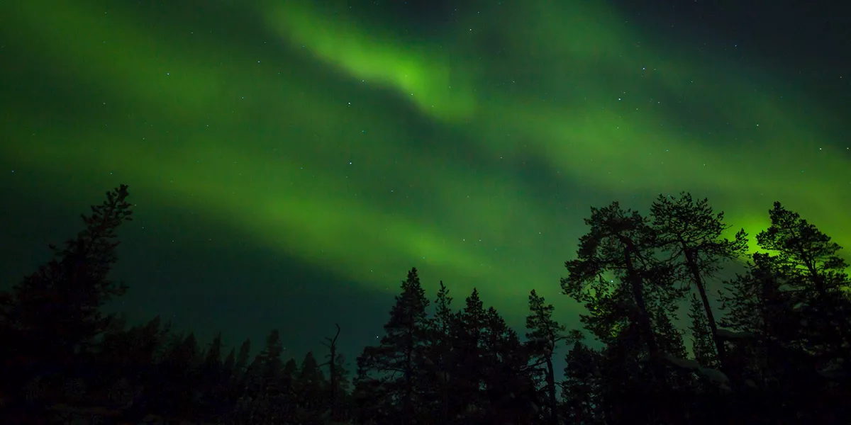 Scandinavian Northern Lights guided Tour