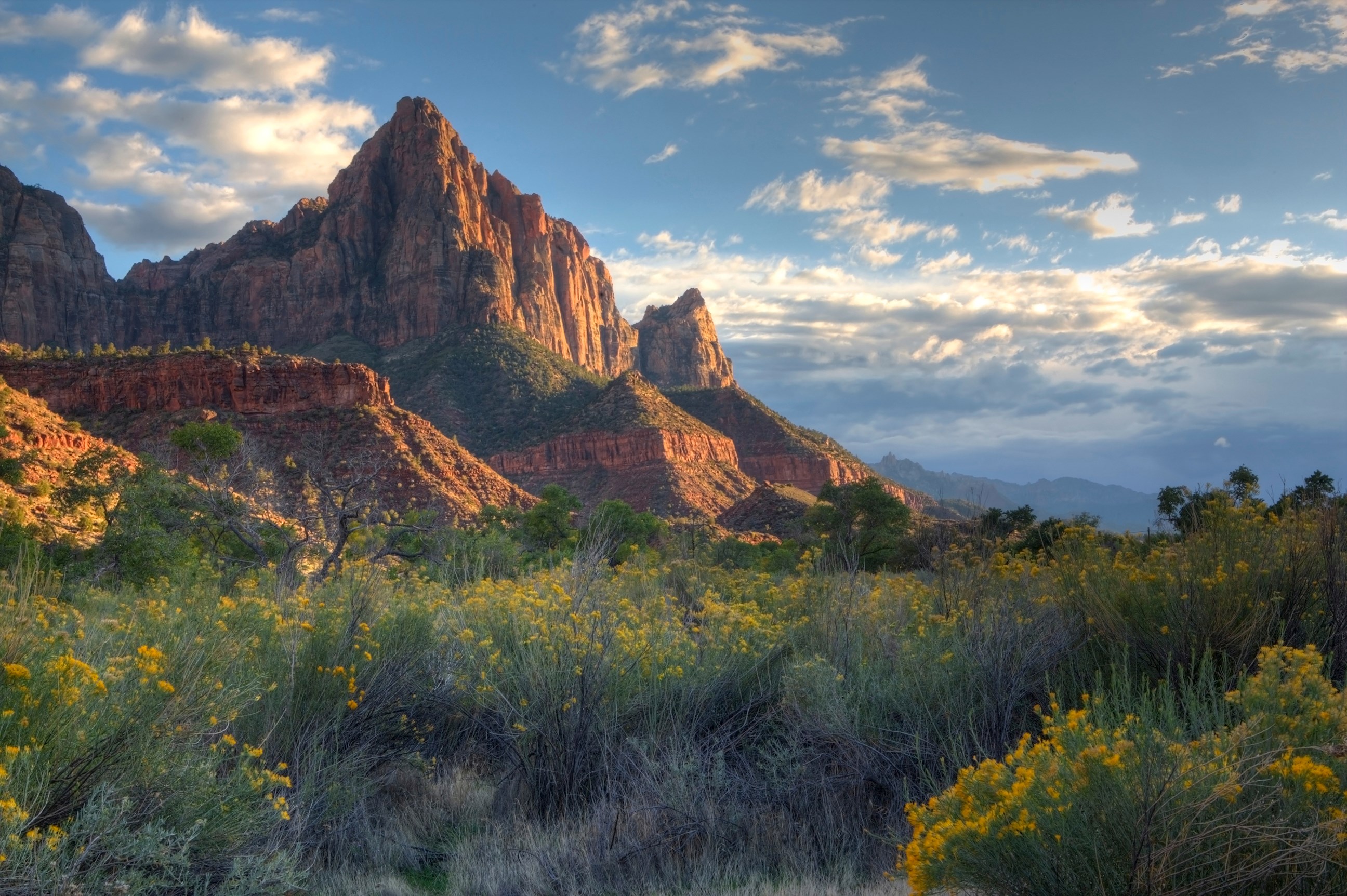 scenic-drive-zion-national-park-utah.jpg