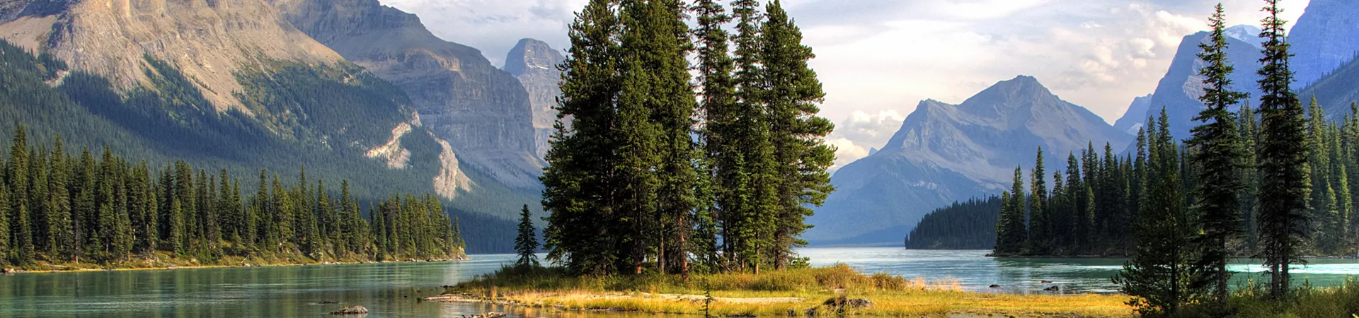 Tree in front of mountains on lake