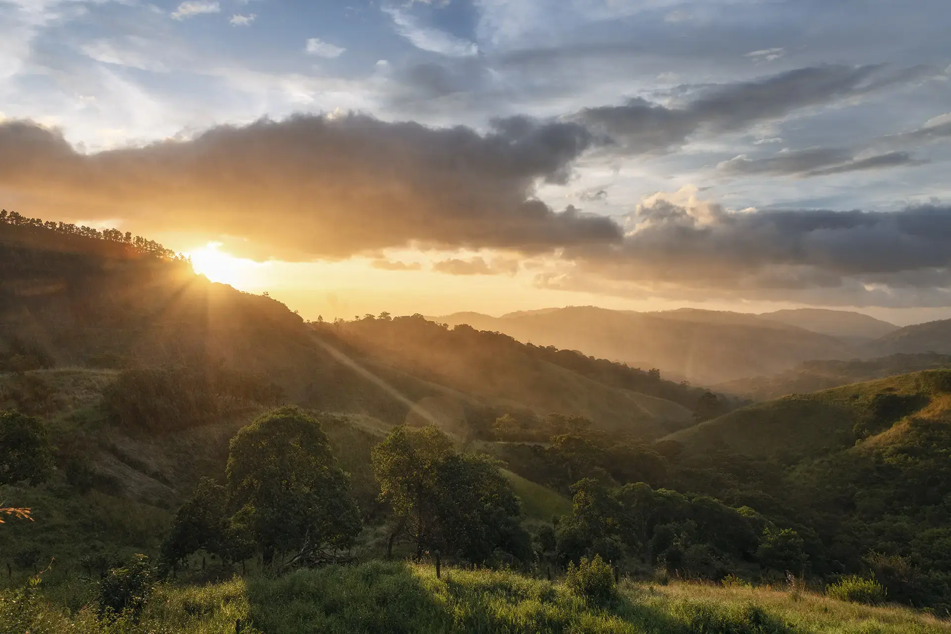 monteverde-costa-rica-gettyimages-2151512693.webp