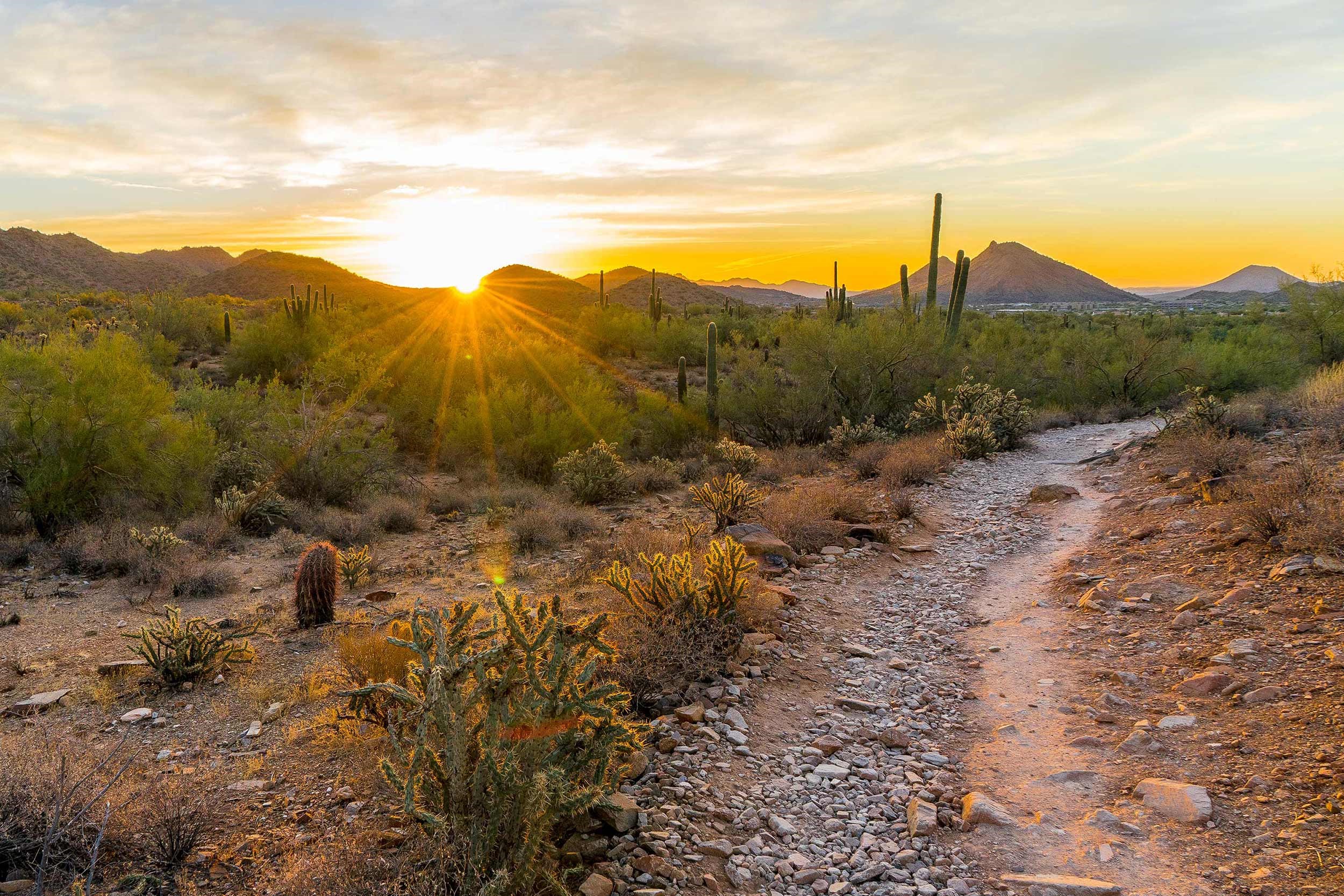 desert-trail-scottsdale-usa.jpg
