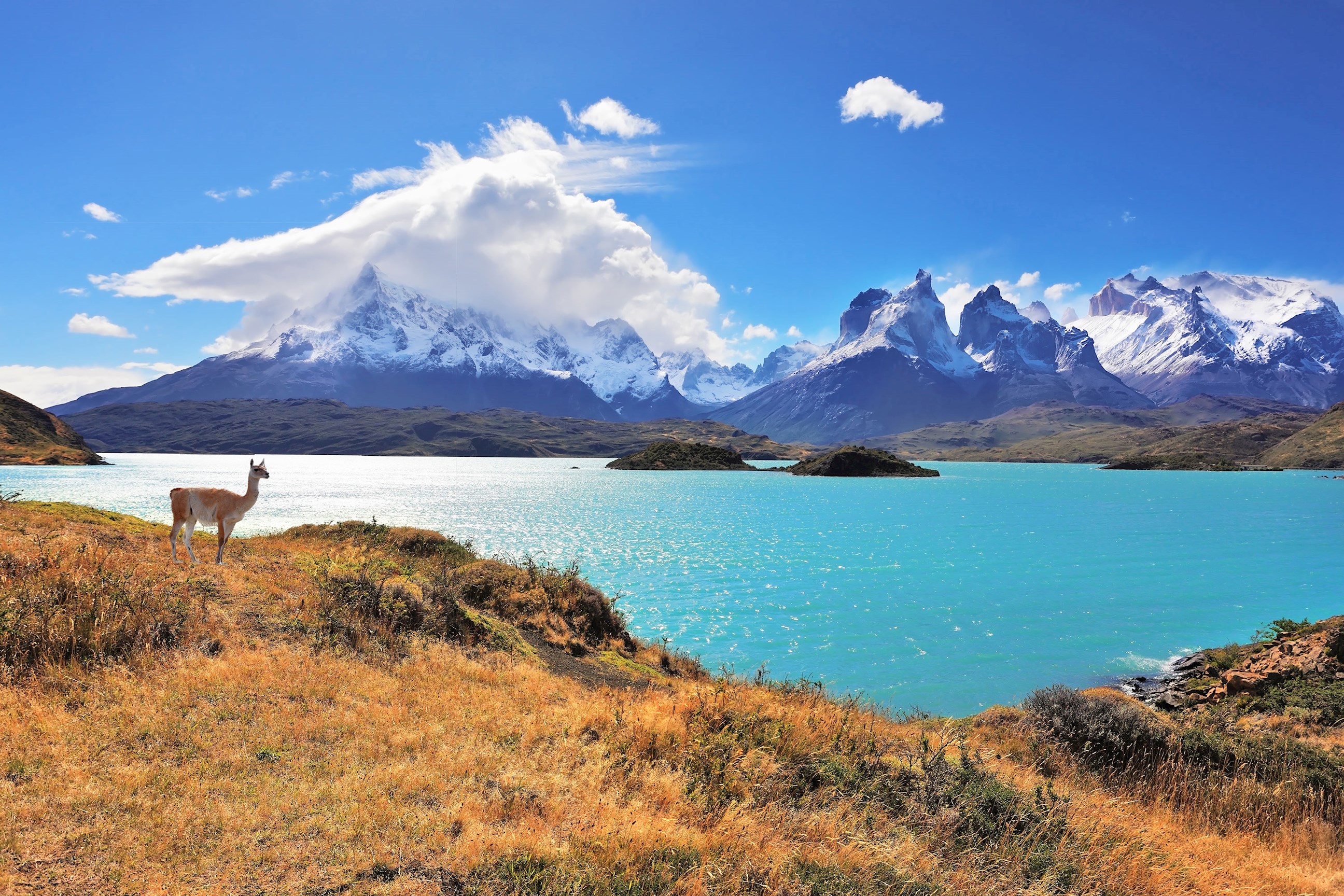 Teal patagonia clearance