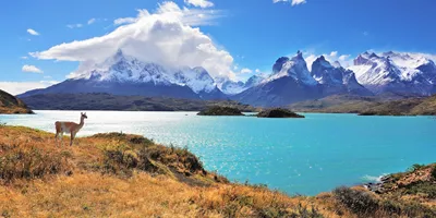 Wonders of Patagonia Guided Tour