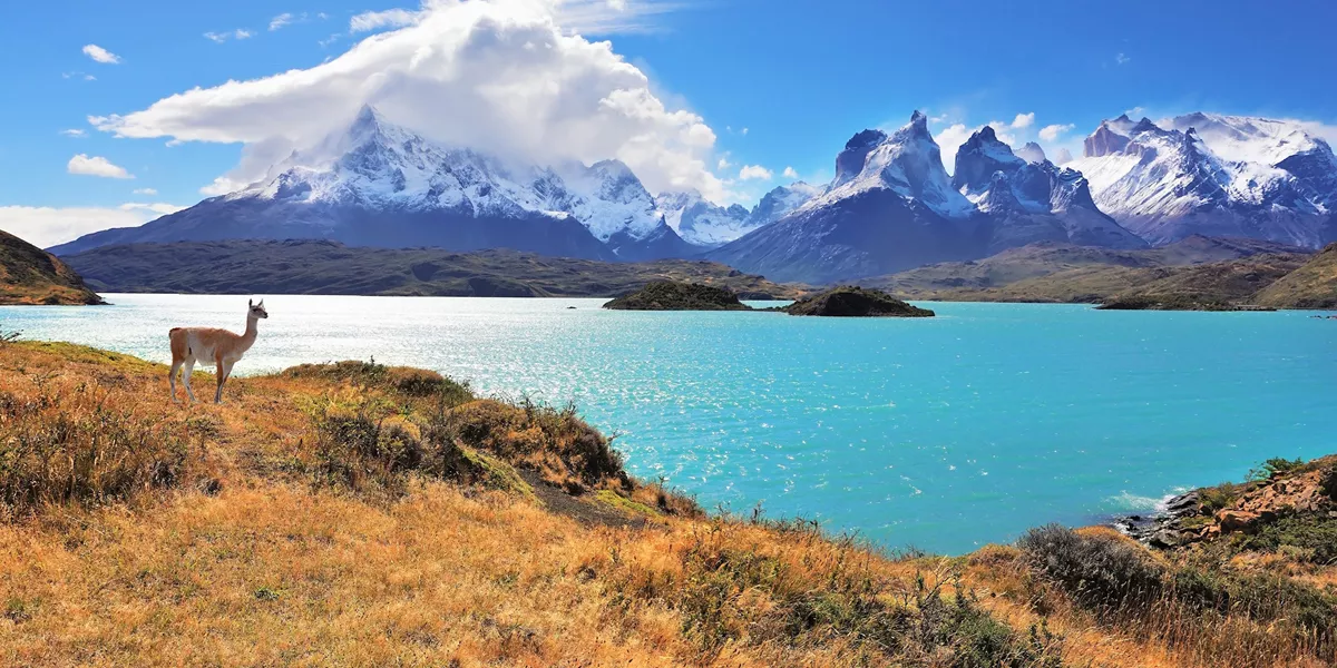 Wonders of Patagonia Guided Tour