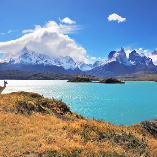 Wonders of Patagonia Guided Tour
