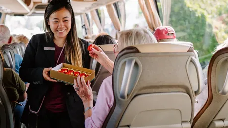 tours-a-world-of-experience.webp