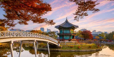 Best of South Korea Guided Tour