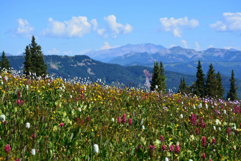 4x4 through the stunning La Plata Range,  Durango, Colorado, USA