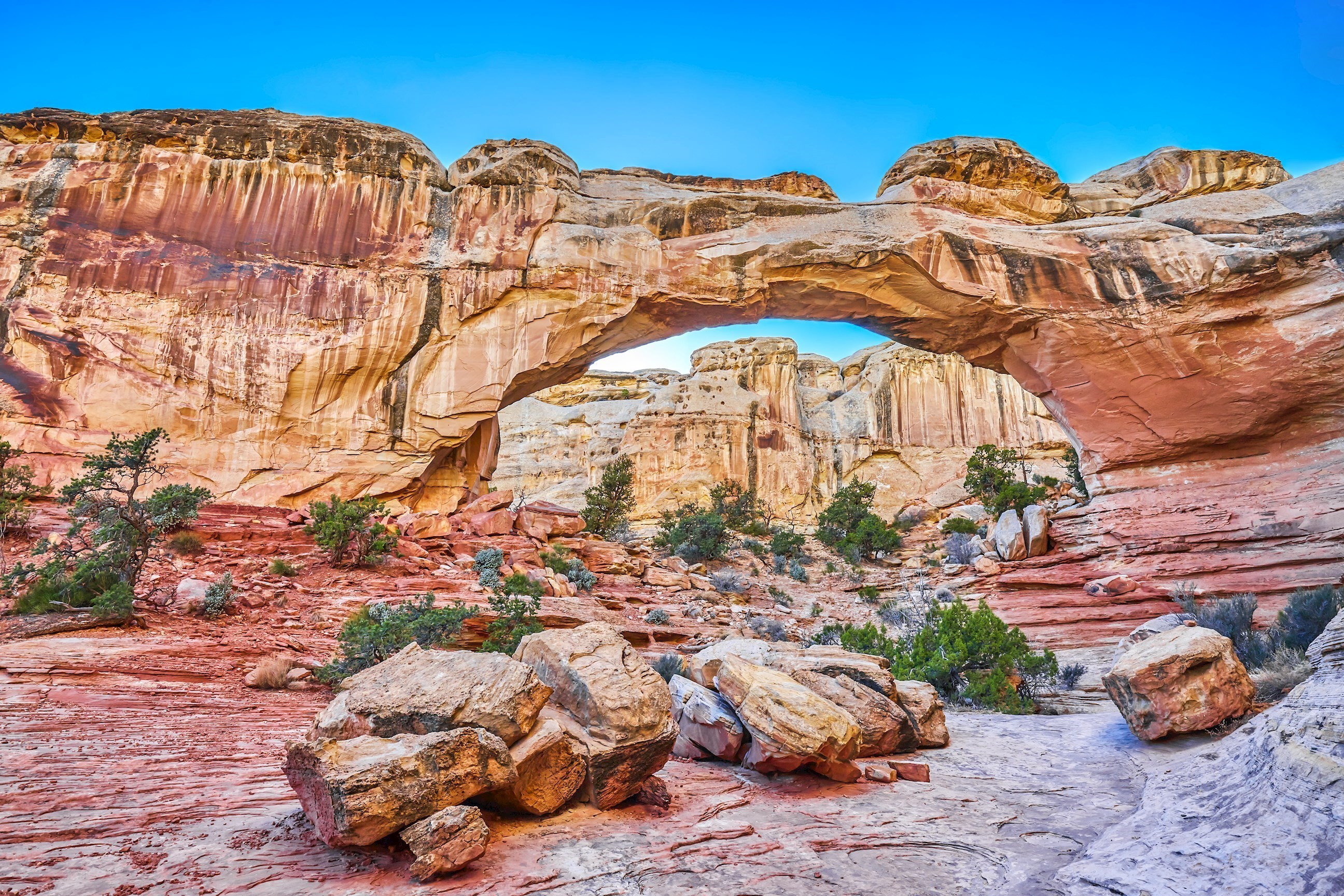 62_landscape-view-capitol-reef-national-park-utah-usa.jpg