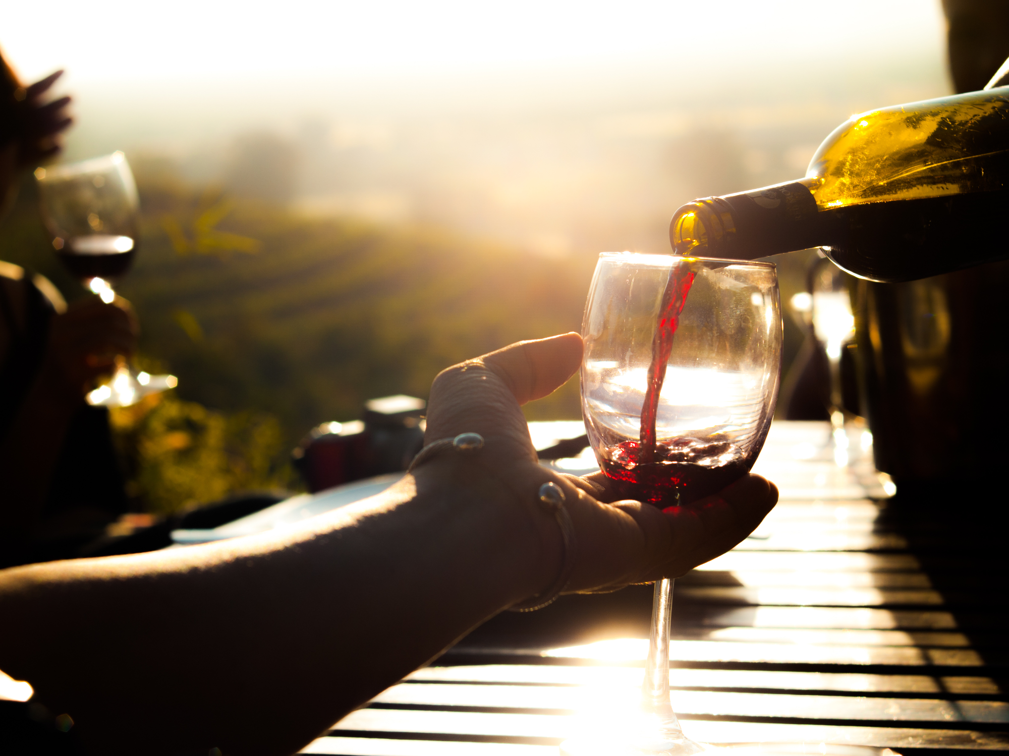 Hand holding glass filled with Italian wine