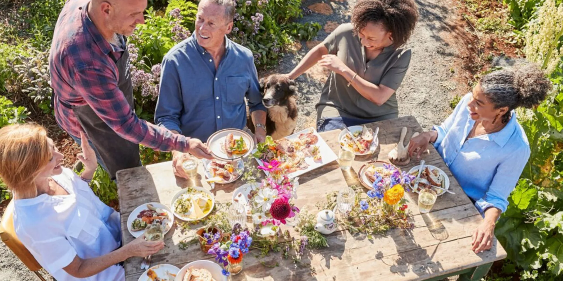 People eating lunch in a garden